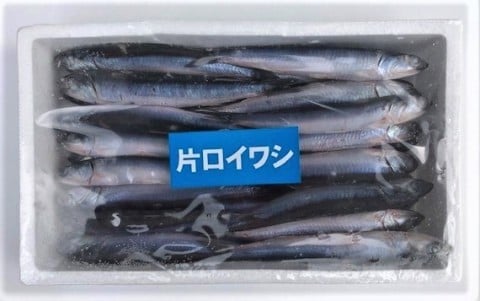 片口イワシパック